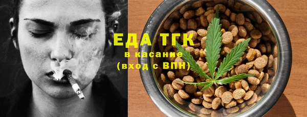 гидра Покачи