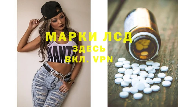 гидра Покачи