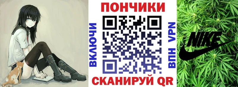Шишки марихуана планчик  Купить закладки  Заринск 